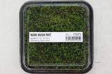 ADA Coral Moss Riccardia chamedryfolia IC821