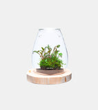DOOA Neo Glass AIR New Suspended Fish Tank