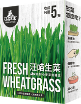 貓草新鮮栽培盒-貓咪生菜