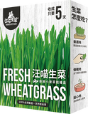 Cat Grass Fresh Cultivation Box-Cat Lettuce