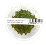 ADA Ludwigia repens 'Super red' IC407