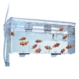Fluval 富華 外掛式保育箱 Multi-Chamber Holding & Breeding Box #10943