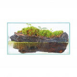 Gex Glassterior Fit 200LOW Fish Tank (20X10X10cm) #8625