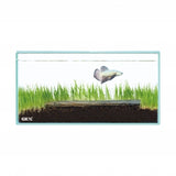 Gex Glassterior Fit 200LOW Fish Tank (20X10X10cm) #8625