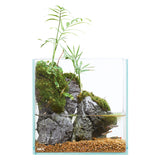 Gex Glassterior Fit 200 Fish Tank (20X10X20cm) #8618