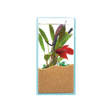 Gex Glassterior Fit 200 Fish Tank (20X10X20cm) #8618