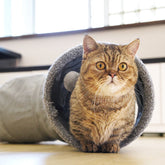 S type silent cat tunnel (foldable)