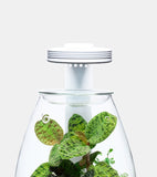 DOOA Magnetic Light G Magnet Light G #153-008