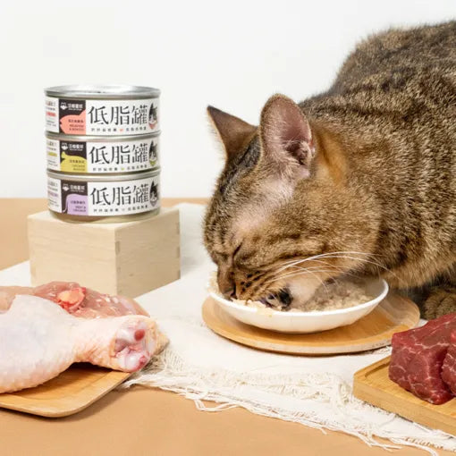 Cat low-fat, glue-free staple food can 80g 
