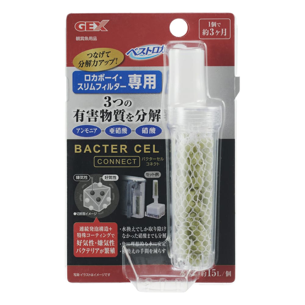 Bacter Cell Connect 50632 (042033) GEX
