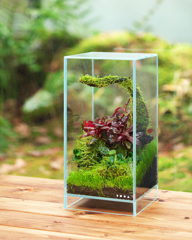 DOOANeoGlassAIR_2f568310-a155-