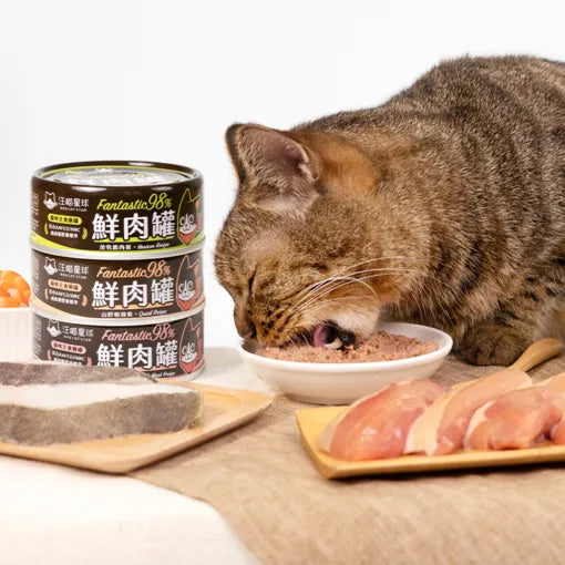 FANTASTIC 98% fresh meat glue-free staple food jar for cats｜80g&amp;165g 