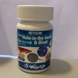 Waterlife - OCTOZIN 內寄 腸道感染特效藥(咸淡水頭窿藥)